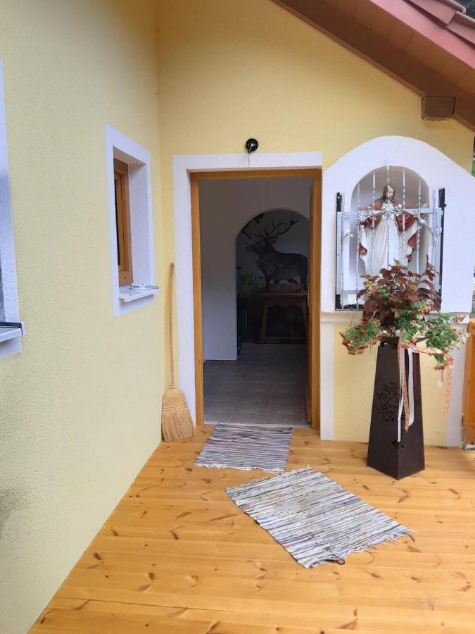 Ferienwohnung Anika Kleinlobming Luaran gambar